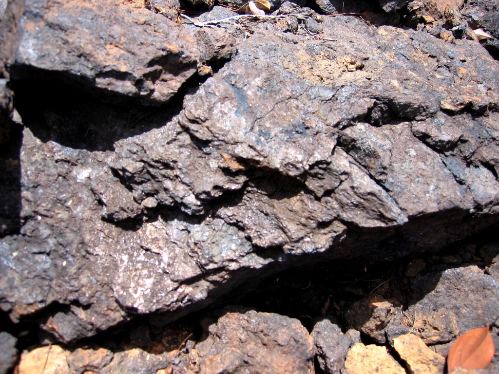 Stacks Image 735