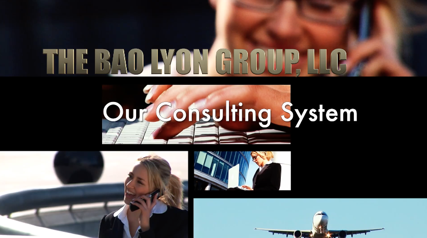 Our consulting system